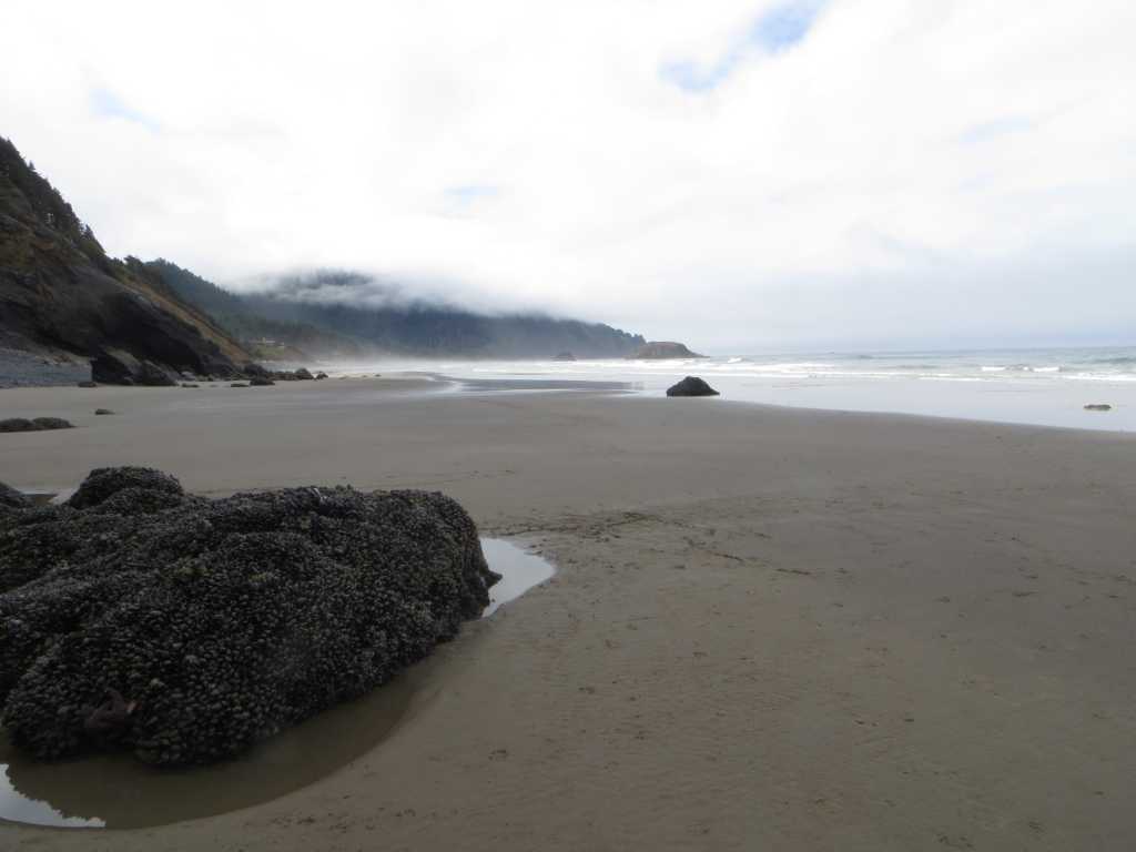 Arch Cape, just past the 'Arch'